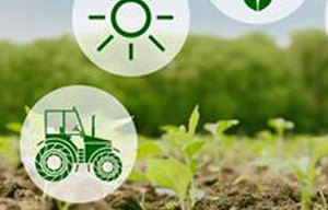eco-sustainability-as-a-guide-towards-agriculture-of.htm